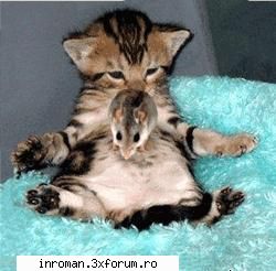OffTopic! - cea mai tare faza :D - OffTopic!